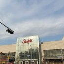 운동장 | 스타필드하남 반려견 동반 꿀팁 펫모차 대여 무료 펫파크 운동장 후기