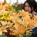 나리식품