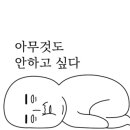 닭발흥신소 본점 이미지
