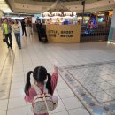 동산당구장 | 30개월 아기와 3월 홍천비발디파크 솔직 리뷰: 장단점 체험기(천안,단양,홍천 비교)