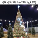 목포 대형 크리스마스트리 명소 추천 겨울여행 가볼 만한 곳(미미크리스마스상점 후기)