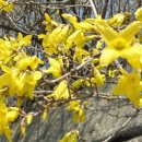 약초이야기 이미지