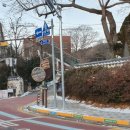 과천초등학교 정문 앞 이미지