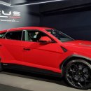 종합운동장 가로수길 이미지