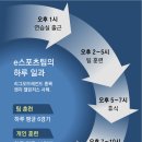 하나스포츠 - 11655 | 하나스포츠