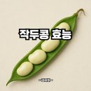 작두콩 효능 | 작두콩이란 | 영양성분 | 칼로리 : 비염 당뇨 혈당 축농증