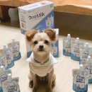 (주)펫앤펫츠 이미지