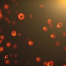 CW-2176-01 이미지