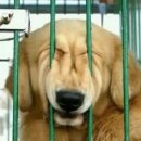 춘자비어 이미지