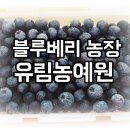 유림슈퍼 이미지