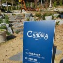 칸델라식당 이미지