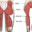 클럽훈짐 이미지