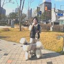 삼정무한리필 이미지