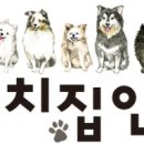 펫힐링센터 이미지