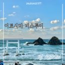 버스 | 후쿠오카 근교 투어 | 이토시마 버스투어 후기