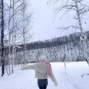 스스키노 - 금정구 부산대학로49번길 43 | 스스키노