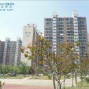 충혼길 이미지