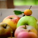 햇빛전자 이미지