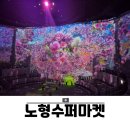 제주 노형수퍼마켓 수퍼마켙 감성여행 할인 소요시간 후기