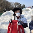 경희대한결태권도 이미지