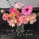 파스텔 | 대전 꽃배달 가능한 감성 꽃집 추천 대전 둔산동 꽃집 '비올레뜨' 파스텔 꽃다발 후기