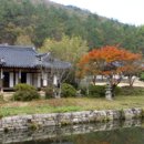 진도 운림산방 남도의 수묵화가 깃든 곳, – 자연과 예술 공간 특별한 여행지