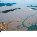신안낙지천국