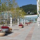 치악2호 이미지