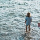 꼬모의 산책 이미지