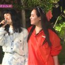 여행ING 이미지