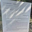 의사오흥태지려 이미지