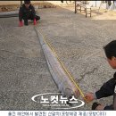 수산1리 마을회관 이미지