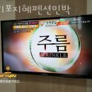 지혜민박 이미지