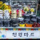 영동의류 이미지