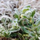 서리축산 이미지