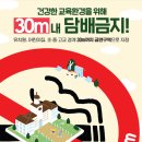 강남유치원 이미지