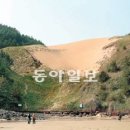 모래언덕 이미지
