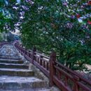 해지게길 이미지