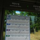 임학사거리 이미지