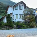 단양소백농협 본점 이미지