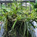 나드리패션 이미지