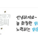 디자인맑음 이미지