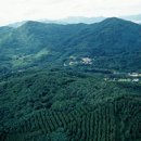 (주)초당산업 - 729 | (주)초당산업