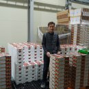 이에스에스 ESS 이미지