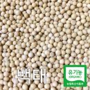 산들바람 이미지