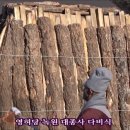 대한불교녹원조계종 네이버블로그