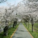 군도17호 이미지