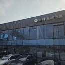 퍼피포레스트 이미지