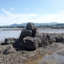 유정농원 이미지