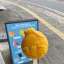 배사장렌트카㈜ | 제주여행3일차 여름휴가✈️ &lt;쇠소깍&gt;&lt;성산일출봉&gt;&lt;런던베이글뮤지엄&gt;&lt;오른카페&gt;&lt;SK렌트카후기&gt;